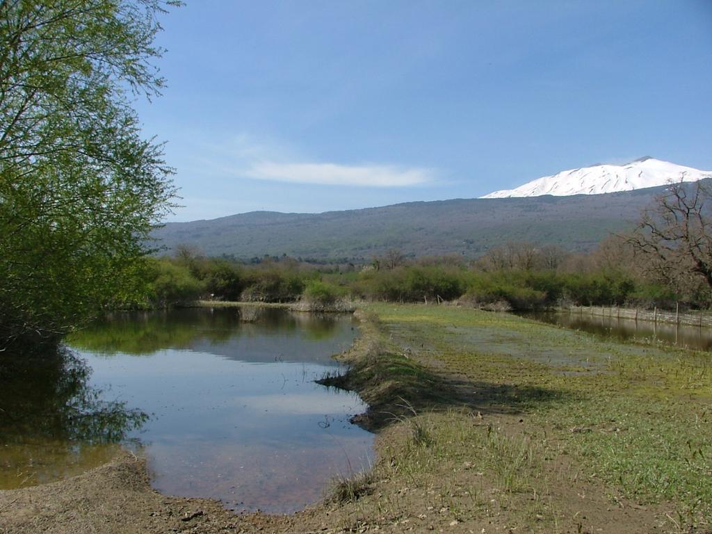 Animosa Suites Castiglione De Sicilia Zewnętrze zdjęcie
